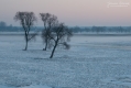048_Biebrza - marzec 2013